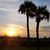 Sue Bauer-Biewer's profile image