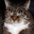 Babs OConnor's profile image