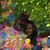 Johna Ford's profile image
