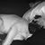 Kimberly Saylor's profile image
