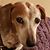 Patricia Hinkson's profile image