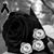 Juan Carlos Valles Olguin's profile image