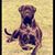 Rachell Walker Payne's profile image