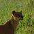 Linda McCloud's profile image