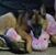 Terri Graybill Griffin's profile image