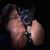 Carole Cannon Naibauer's profile image