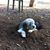 Janice Gabrielson's profile image