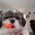 Lynda Ruggiero's profile image