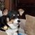 Lynette Lauer-Barnes's profile image