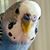 Bob Craigmile's profile image