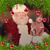 Julie Rougk Buchanan's profile image
