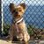 Cynthia Saacks Allen's profile image