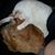 Lisa Kinney's profile image