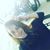 Aliceida Almonte's profile image