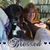 Tara Thurner Fernandez's profile image