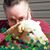 Sharyl Mayhew's profile image