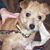 Deborah Johnson's profile image