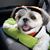 Lisa Busardo's profile image