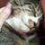 Donna Ernst Couture's profile image