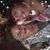 Paula Rowland's profile image