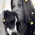 Lori Hayley's profile image