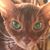 Judy Yeargin Taylor's profile image