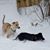 Mark J Beckers's profile image