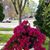 Carol Gunderson's profile image