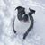 Amy Stephens's profile image