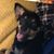Susan Wilkerson's profile image