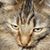 Ann Hupe's profile image