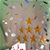 Jose Huerta's profile image