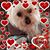Laurie Loomis-Coon's profile image