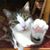 Pamela Huffman's profile image