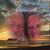 Vicki Williams Micks's profile image