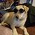 Deb Ditommaso's profile image