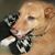 Susanne Heins's profile image