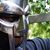 Mike Nicholas's profile image