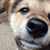 Tara Gullion's profile image