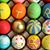 Sharon Ann Yurchak's profile image
