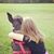 Carrie Wunderlich's profile image