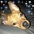 Gina Henn's profile image