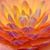 Annette Hernandez's profile image