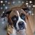 Tracy Hunt's profile image