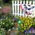 Shirley Breidenbaugh's profile image