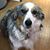 Dee Dee Eiland's profile image