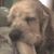 Cyndi Jackson's profile image
