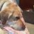 Brenda Litton Salerno's profile image