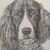 Lenn Bomar Jackson's profile image