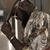 Terrell Williams's profile image